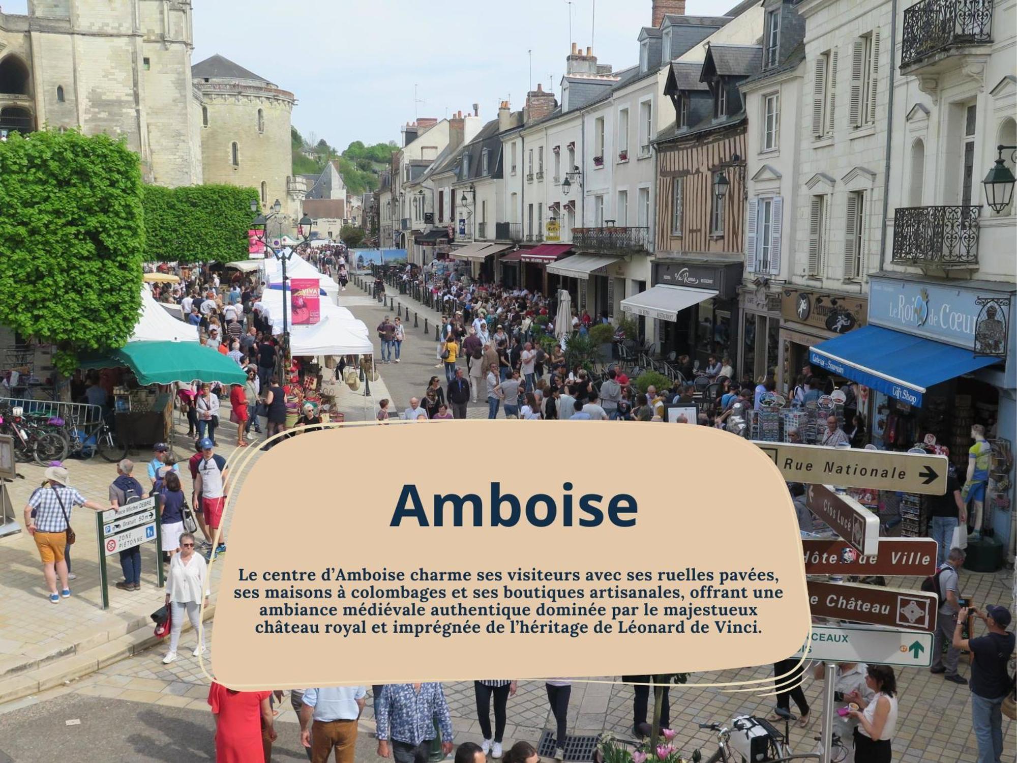 Gite Rabelais - A 5Min Du Chateau D'Amboise Dış mekan fotoğraf